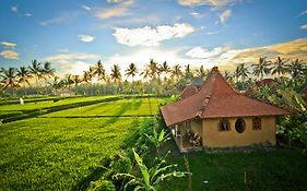 Dragonfly Village Bali